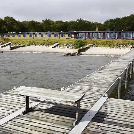 Danhostel * ניקובינג מורס