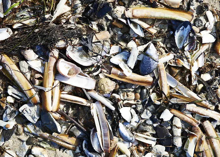 Хостел Danhostel